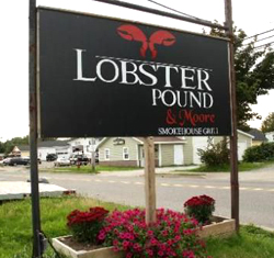 Lobster